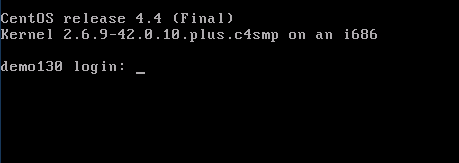 VMwarePlayer上でPUBLIS Basic起動完了時の表示例